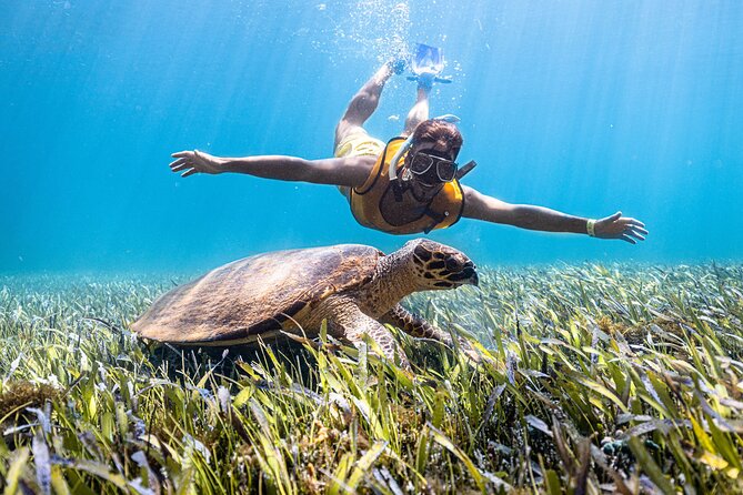 Catamaran Sailing to Isla Mujeres From Cancun - The Coral Reef Snorkel Stop: What you’ll see, and what to expect realistically