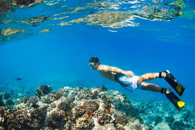Catamaran to Isla Mujeres at sunset pick up Cancun - What to pack for the easiest sunset swim