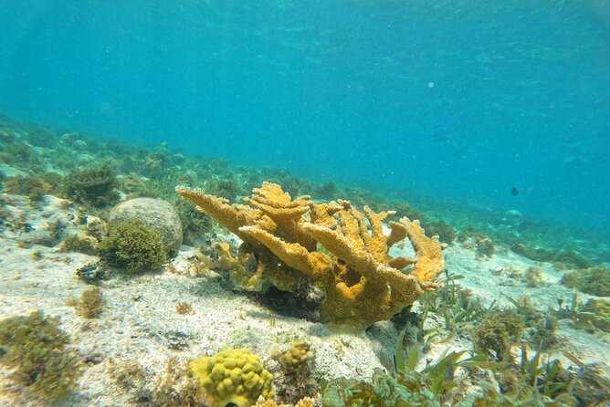 Catamaran with Snorkeling and North Beach, Isla Mujeres - The Return Stop Back at Playa Tortugas