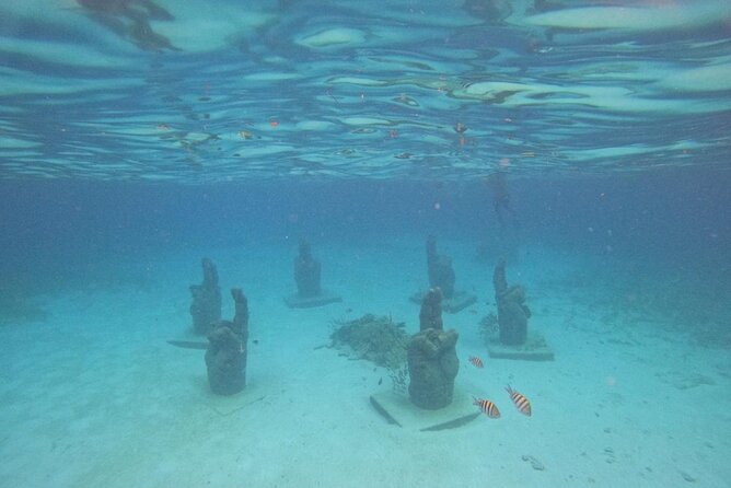 Catamaran with Snorkeling and North Beach, Isla Mujeres - Price and Value: What $49 Covers, and What It Does Not