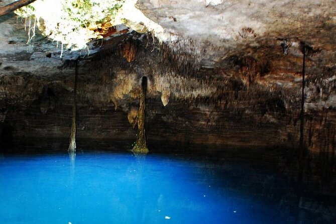 Cenote La Noria Tour + Jewelry Shopping Tour + Tequilera - How this Cancun cenote day really feels