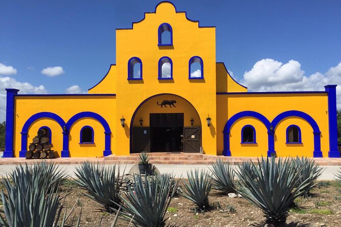 Cenote La Noria Tour + Jewelry Shopping Tour + Tequilera - Who this tour is best for, and who should skip it