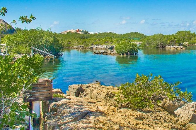 Cenotes and Snorkel - Snorkeling Gear, Lifejackets, and Staying Comfortable in Closed Water