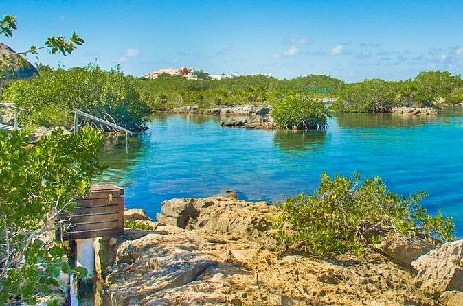 Cenotes and Snorkel - Transportation Value: What the Included Ride Actually Gives You