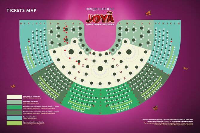 Cirque du Soleil JOYÀ Admission Tickets - Who Should Book Cirque du Soleil JOYÀ Cancun Tickets