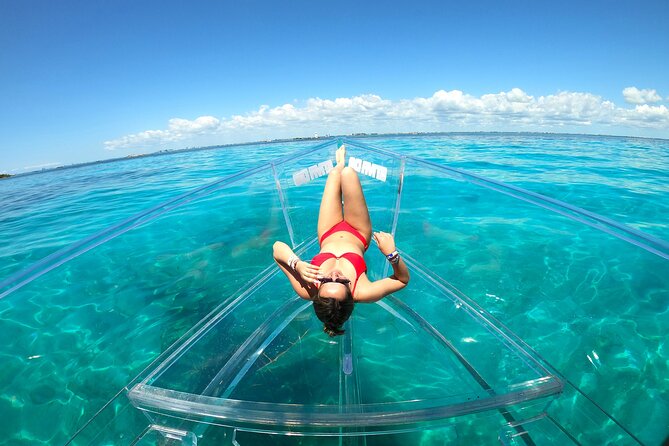 Clearboat: Glass-bottom boat ride to the Caribean Sea - What you can expect to see under the glass, from reef fish to turtles