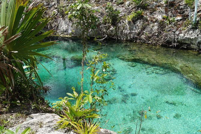Coba, Tulum, Cenote and Mayan Village All Inclusive Tour - A modern Maya village visit and lunch that tastes like the region