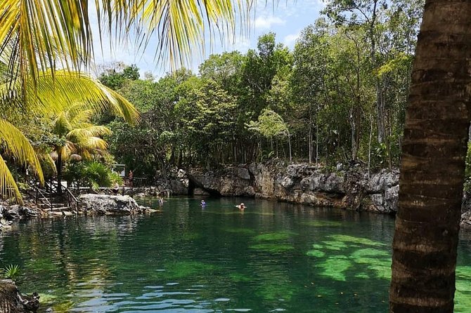 Coba, Tulum & Cenote swim - Cenote Kuxtal swim: the water break you actually came for