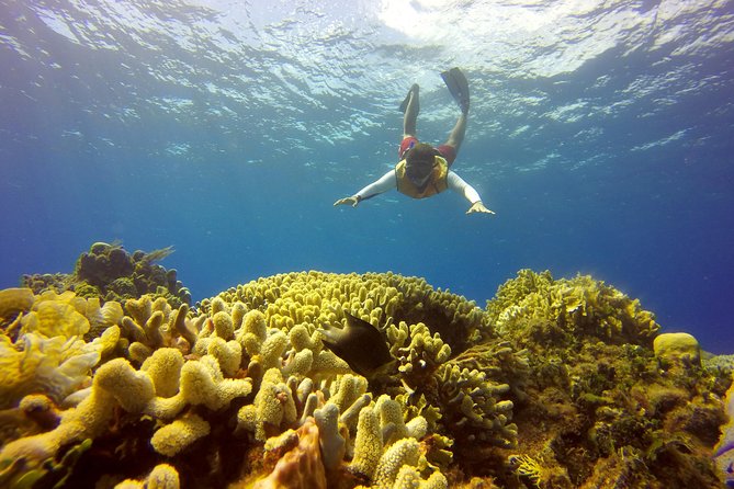 Combo 2 Caribbean Islands: Isla Mujeres, Cozumel with snorkel - Key Points to Know Before You Go