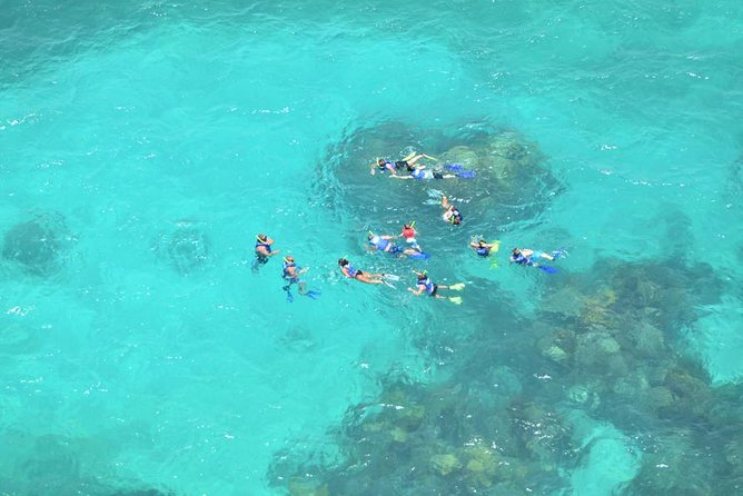 Contoy Caribbean Adventure! Round Transportation from Cancun - Why this Contoy and Isla Mujeres combo makes sense