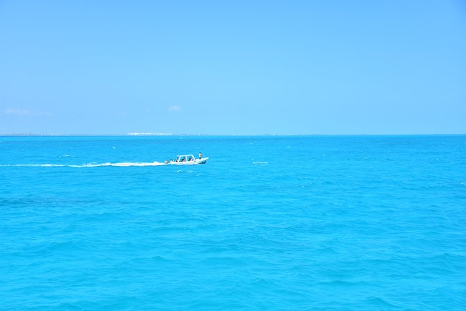 Contoy Caribbean Adventure! Round Transportation from Cancun - Isla Contoy: the main event for birds and reef snorkel time