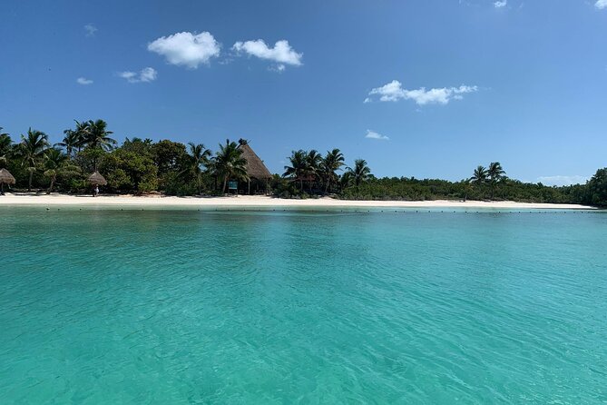 Contoy Island Tour from Cancun and Isla Mujeres with Snorkeling - Snorkeling near Contoy: when the captain says yes