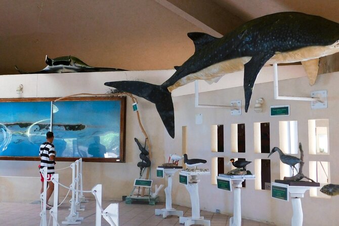 Contoy Island Tour from Cancun and Isla Mujeres with Snorkeling - Price and value: what $155.32 really turns into