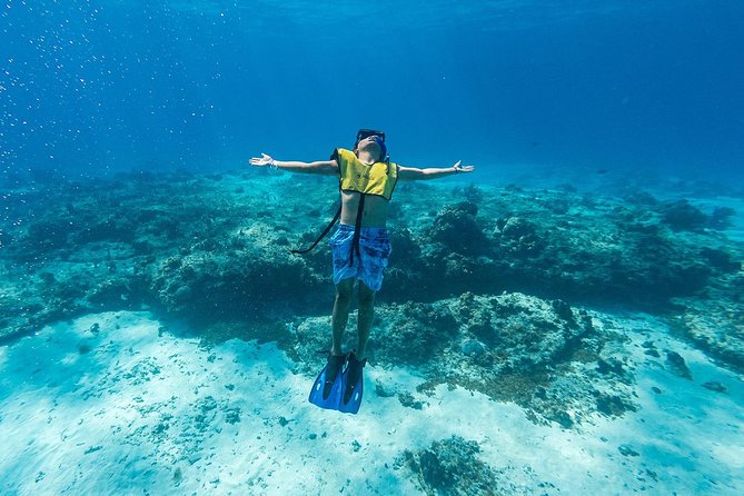 Cozumel Catamaran Snorkeling Tour & Lunch (Hotel Pick Up) - The snorkeling style you should expect from the boat