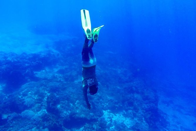Cozumel Catamaran Snorkeling Tour & Lunch (Hotel Pick Up) - Lunch at Playa Mia: included buffet with several regional choices