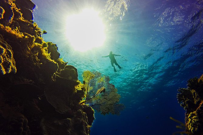 Cozumel Catamaran Snorkeling Tour & Lunch (Hotel Pick Up) - Drinks included, but with strict timing and age rules