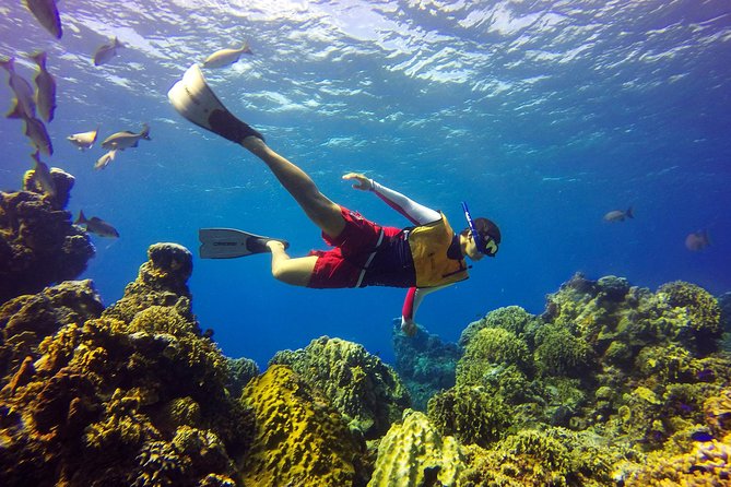 Cozumel Catamaran Snorkeling Tour & Lunch (Hotel Pick Up) - What to pack, including the sunscreen rules that surprise people