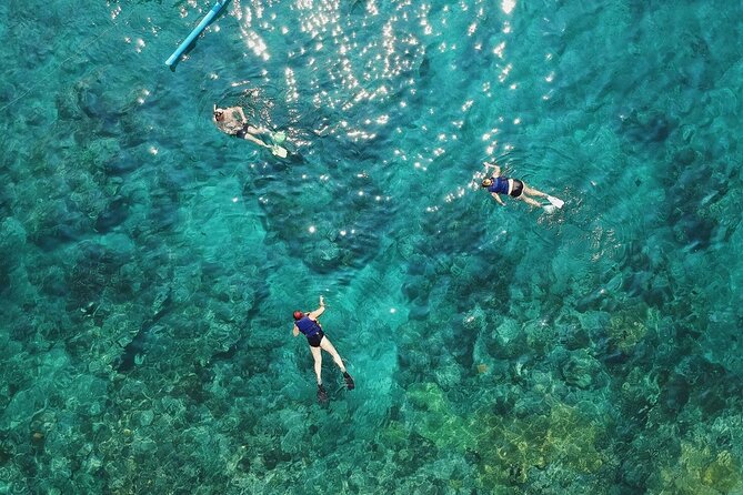 Cozumel El Cielo All Inclusive Tour from Cancun - Stop 3: Columbia Reef, Crew Attention and the Bottom-Glass Stop