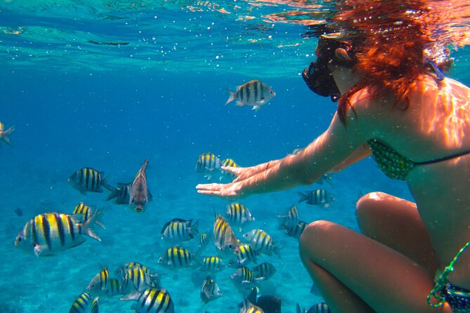 Cozumel El Cielo All Inclusive Tour from Cancun - Price and Logistics: Is $175 a Good Deal?