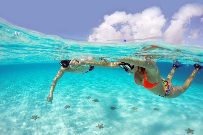 Cozumel Snorkeling Adventure full day Tour - Key things I’d put on your radar