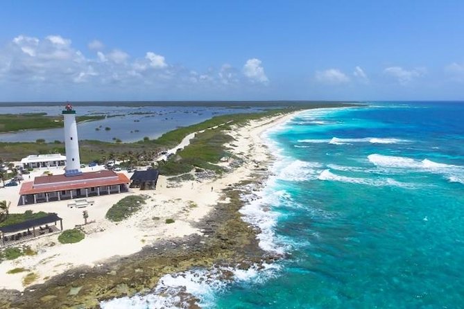 Cozumel Snorkeling Adventure full day Tour - The Morning Transfer and Ferry: Getting to Cozumel Without Stress