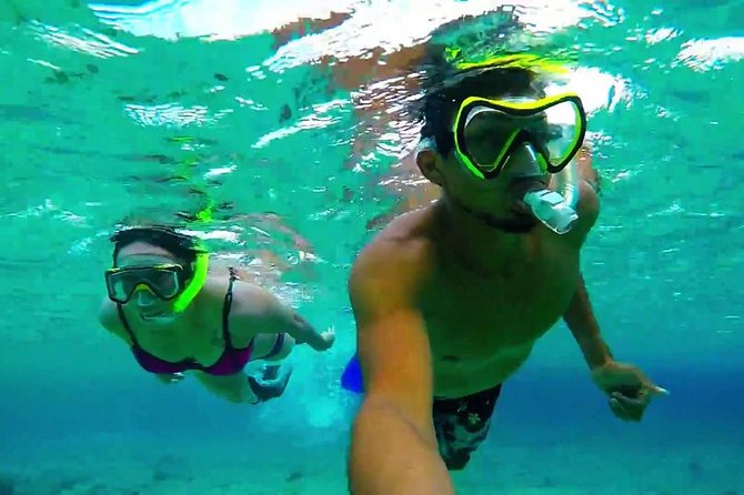 Cozumel Snorkeling Adventure full day Tour - Dzul-Ha Reef Snorkeling: Gear, Safety, and What to Look For