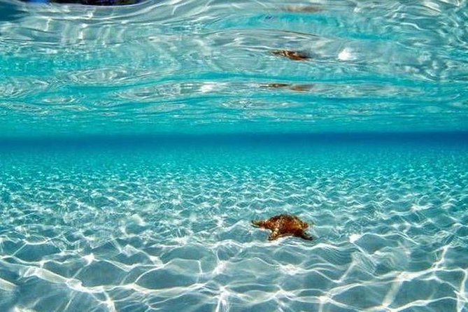 Cozumel Snorkeling Adventure full day Tour - Price and Value: Is $149 Worth It for 11 Hours?