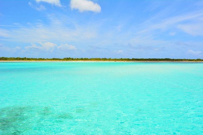 Cozumel Snorkeling Adventure full day Tour - Language and Group Style: What “English” Usually Means