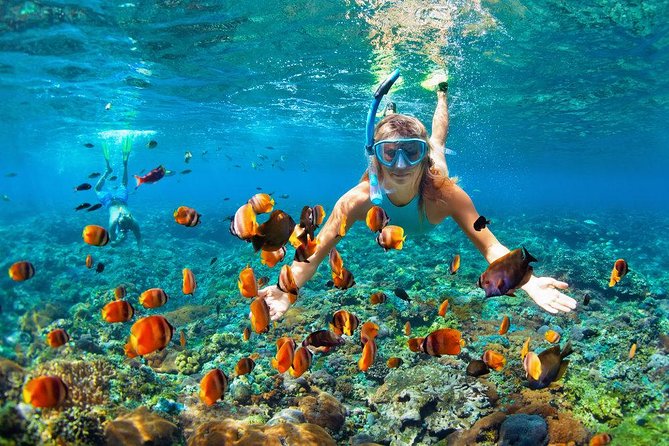 Cozumel Snorkeling Adventure full day Tour - Who This Tour Suits Best