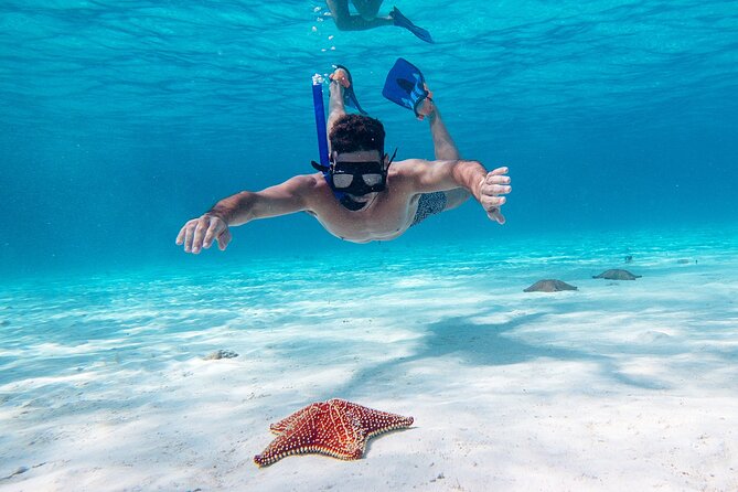 Cozumel Starfish and Tropical Reef Snorkeling by Powerboat with Lunch - From Cancun to Cozumel, what the day feels like