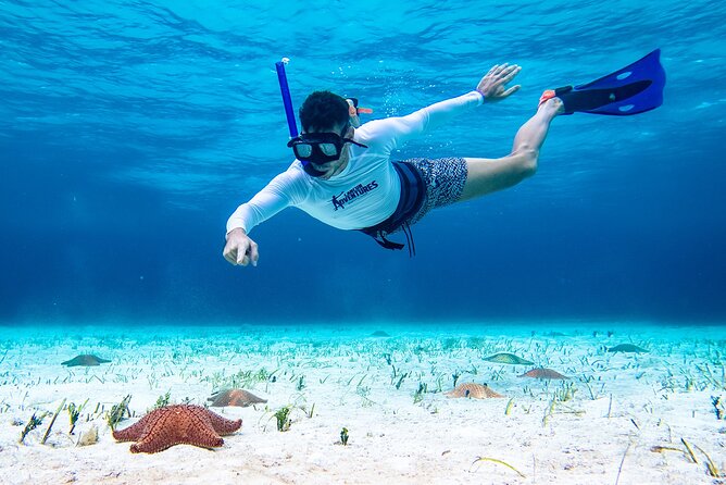 Cozumel Starfish and Tropical Reef Snorkeling by Powerboat with Lunch - The reef stops, different depths, and how to get the most