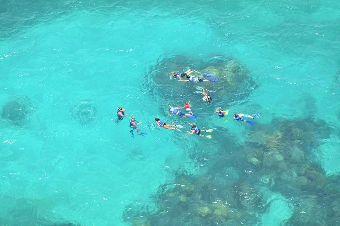 Daytrip Isla Contoy & Isla Mujeres from Cancun - Snorkeling rules, weather swaps, and health limits