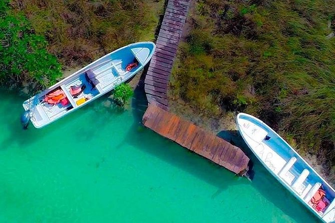 Deep into Nature at Sian Ka'an Biosphere! Round Transportation From Riviera Maya - Punta Allen boat ride: wildlife spotting when you’re actually on the water