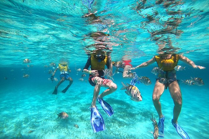 Deluxe Catamaran to Isla Mujeres with Open Bar from Cancun - Alcohol, comfort, and staying in control on a party-leaning boat