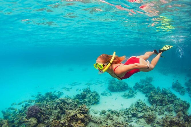Discover Isla Contoy & Isla Mujeres: Nature, Snorkel & Beaches - Isla Mujeres Centro: beaches, town wandering, and a quick slice of fun
