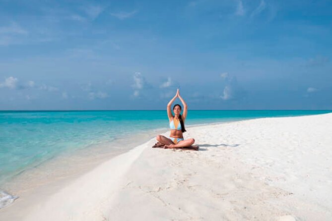 Discover Isla Contoy & Isla Mujeres: Nature, Snorkel & Beaches - Lunch on Isla Contoy and the open bar serving style