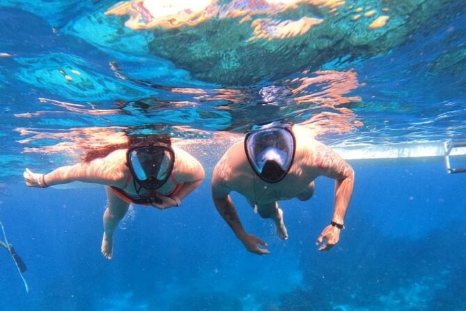 Discover Isla Contoy & Isla Mujeres: Nature, Snorkel & Beaches - Transportation: getting from your hotel to the marina