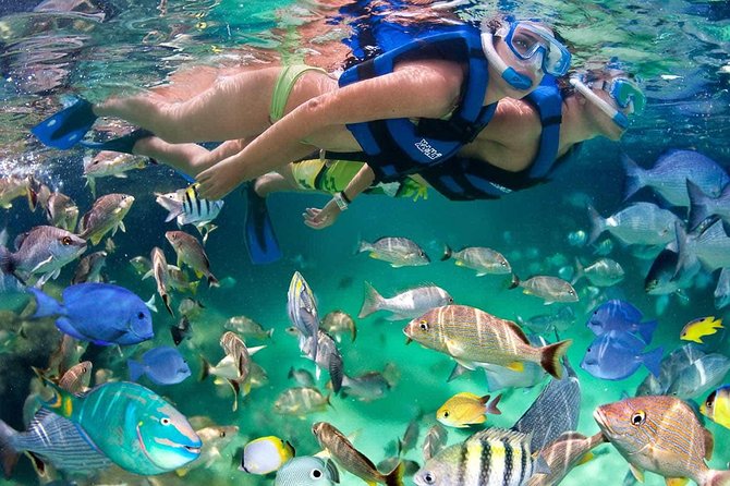 Discover Isla Mujeres tour with snorkel, buffet and open bar - Group size, comfort, and the “do I feel safe?” factor