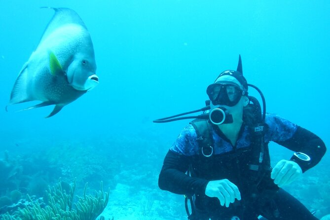 Discover Scuba - Price and value: what $140 buys you in real life