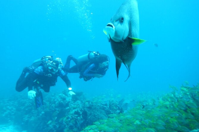 Discover Scuba - Timing, health limits, and who should double-check first