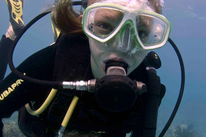 Discover Scuba Diving - One Tank at Coral Reef - Two hours in the pool: the part most people are glad they did