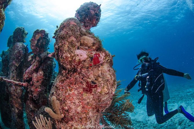 Discover scuba ,MUSA and Manchones reef dive without license - Who Should Book This Isla Mujeres First-Timer Program