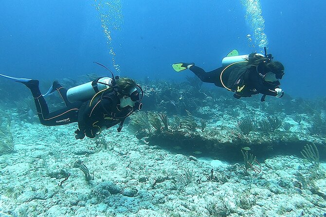 Discover Scuba - The itinerary you will actually feel in your body