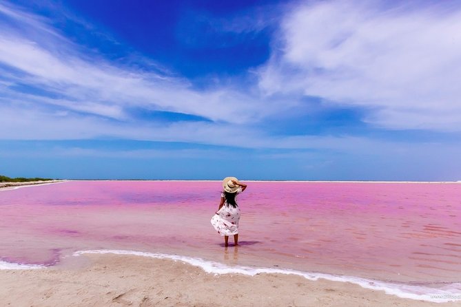 Discover the FABULOUS PINK WATERS in the Caribean - The real star: Las Coloradas pink waters and salt making