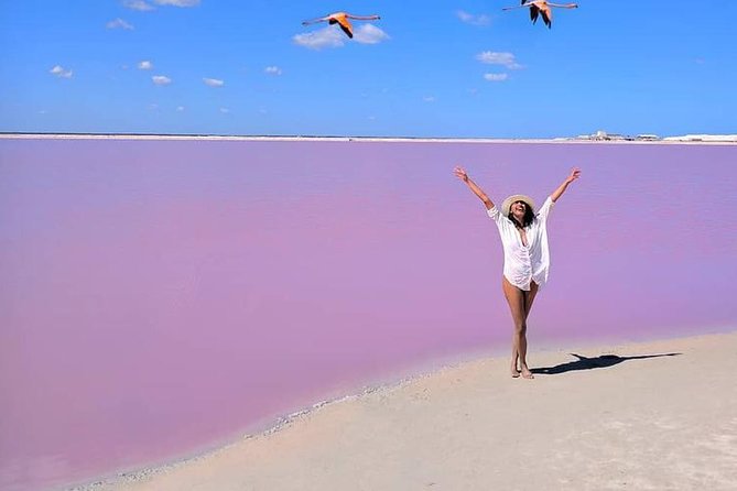 Discover the FABULOUS PINK WATERS in the Caribean - The long bus day: how to manage pickup and timing