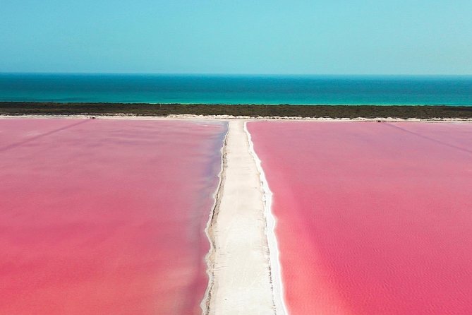 Discover the FABULOUS PINK WATERS in the Caribean - Crocodile farm stop: the hands-on part, and the ethical concern