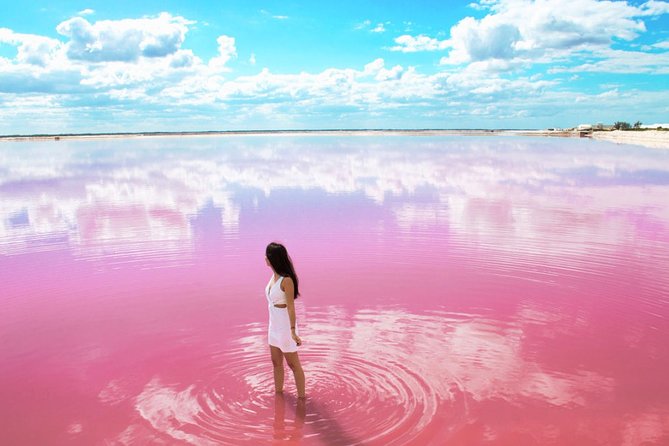 Discover the FABULOUS PINK WATERS in the Caribean - What the included admissions and boat ride are really buying you
