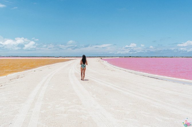 Discover the FABULOUS PINK WATERS in the Caribean - A note on guides, language, and the “who are you with” factor
