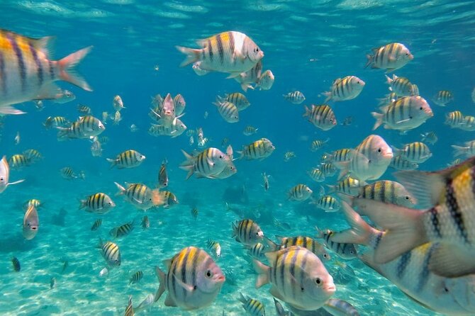 Discovering Isla Mujeres on a Double Decker Catamaran - Price and Value Breakdown: What You Pay for, What Costs Extra