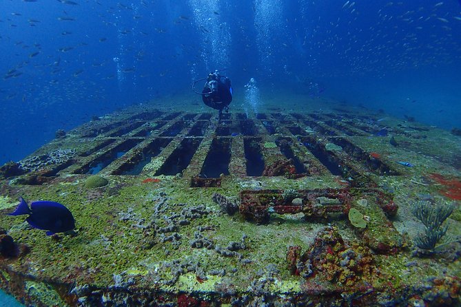 Diving in Cancun for Certified Divers | 2 Dives | All Inclusive - Photos, confidence, and guide names worth knowing